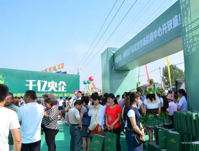 2016年中国供销·涡阳农产品批发市场招商中心盛大开放仪式举行