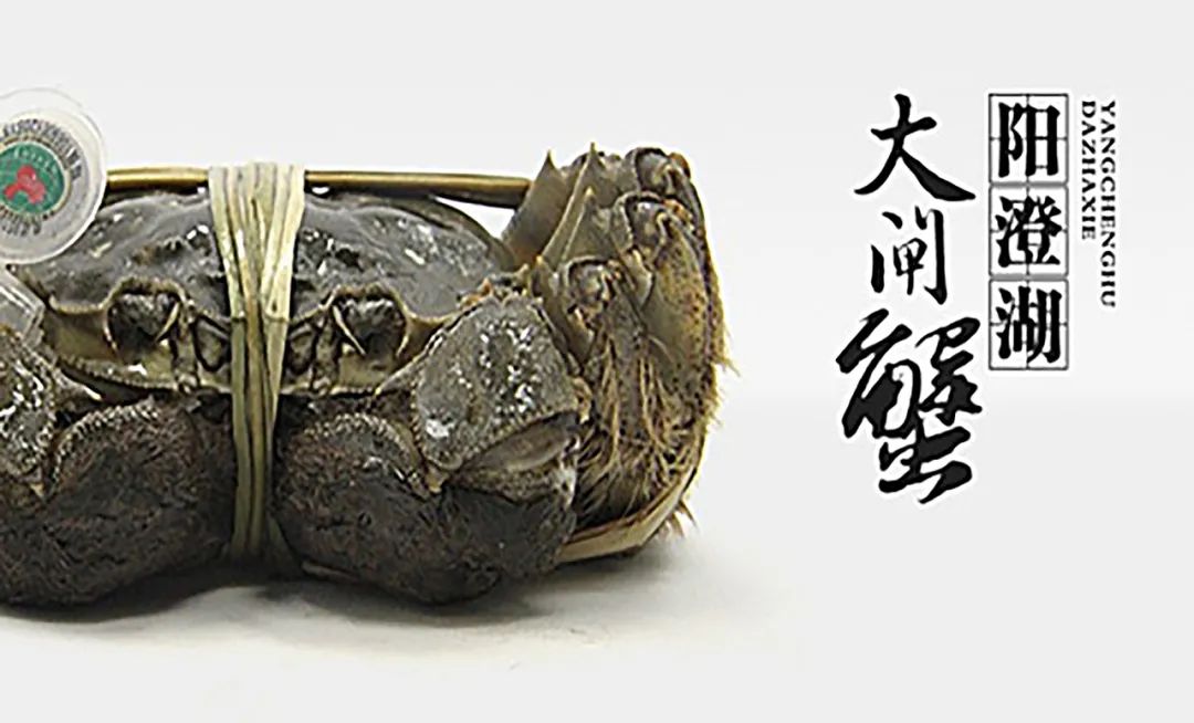 农产品品牌打造的不足之处_农产品 品牌 问题_农产品品牌建设的问题
