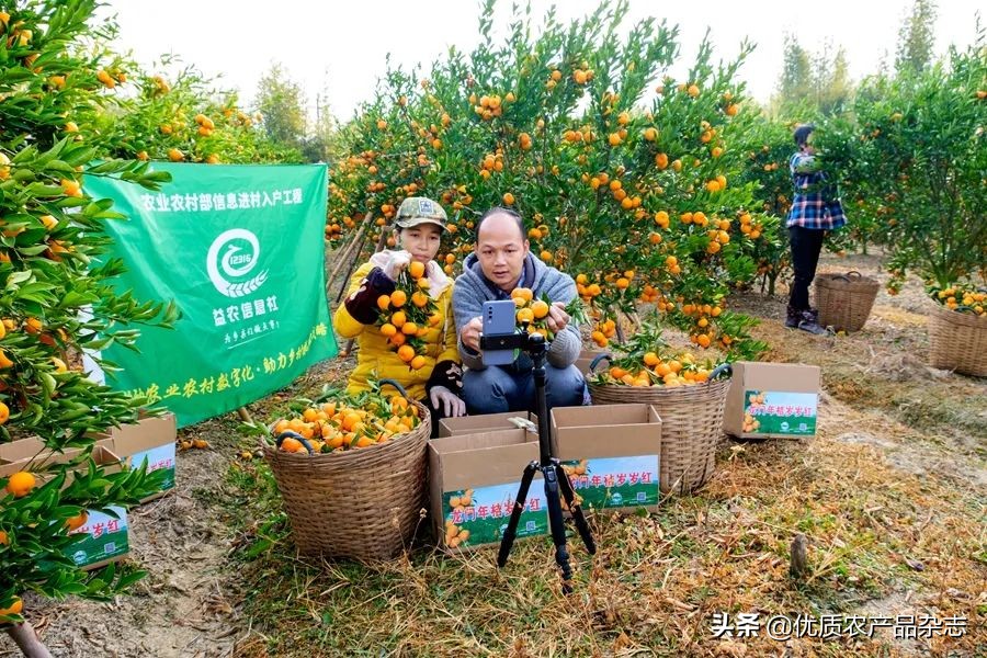 农产品开发是什么意思_新农开发产品_农产品开发