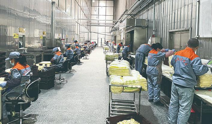 农产品开发是什么意思_农产品开发属于什么行业_农产品开发