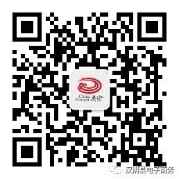 商务部电子商务进农村项目简介_农产品电子商务模式_农村电子商务的三种模式