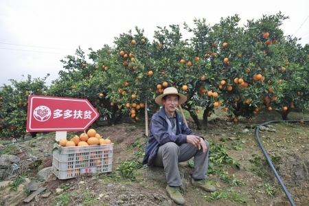 扶贫农产品_扶贫农产品为什么那么贵_扶贫农产品软文