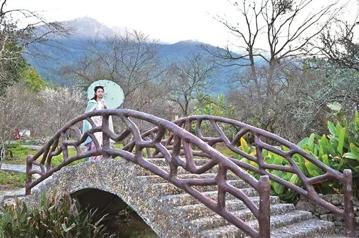 宾阳农贸批发市场_宾阳县农作物_宾阳县农产品