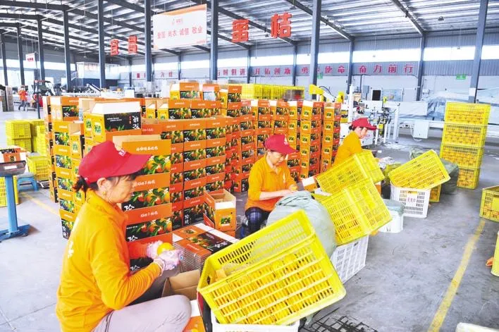 农业合作社收购社员农产品_合作社员农收购社产品怎么做账_合作社收购社员农产品