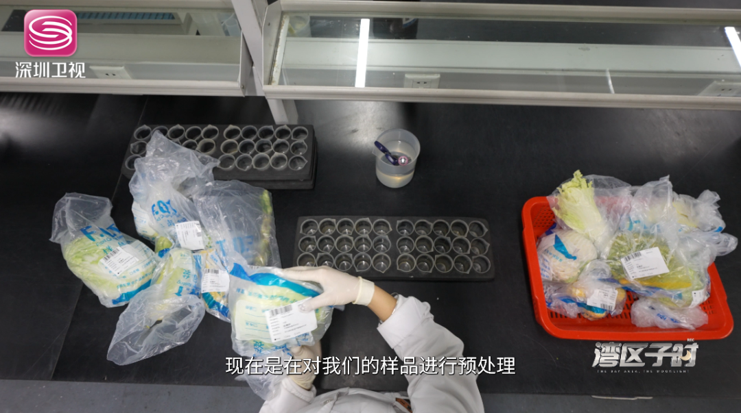 深圳海吉星农产品检测科技中心有限公司_农星科技有限公司_农垚科技