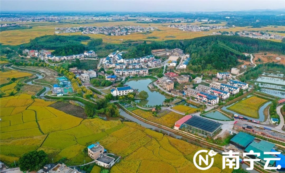 宾阳县农产品_宾阳县最大的农贸市场_查找宾阳县农具厂