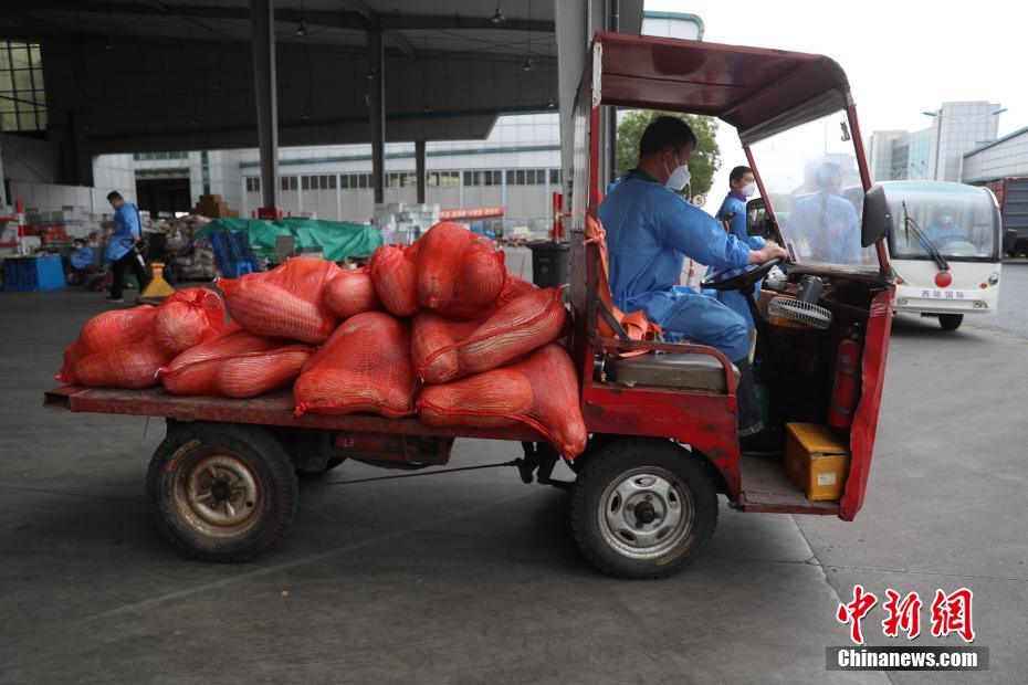 上海农产品中心批发市场价格_上海农产品中心批发市场_上海市农产品批发市场官网