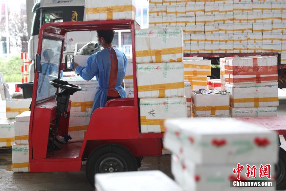 上海市农产品批发市场官网_上海农产品中心批发市场价格_上海农产品中心批发市场