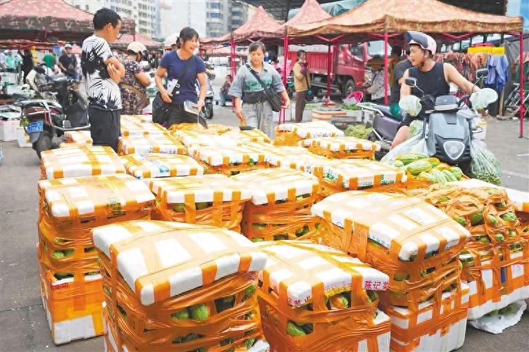 我省积极应对台风摩羯，保障蔬菜市场供应，库存近万吨