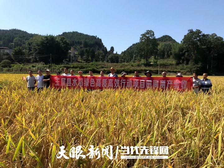贵州省农业总产值_贵州省农产品统计报告_贵州农产品的产量的大数据