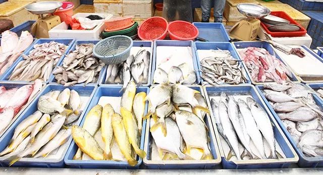 黄山农产品物流园 出租_黄山出租农物流园产品电话_黄山出租农物流园产品信息