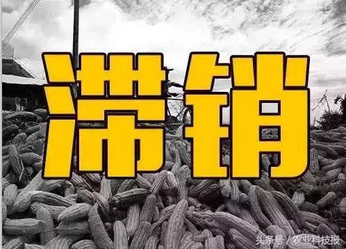 农产品滞销原因深度解析：为何辛苦种植的优质农产品卖不出去？