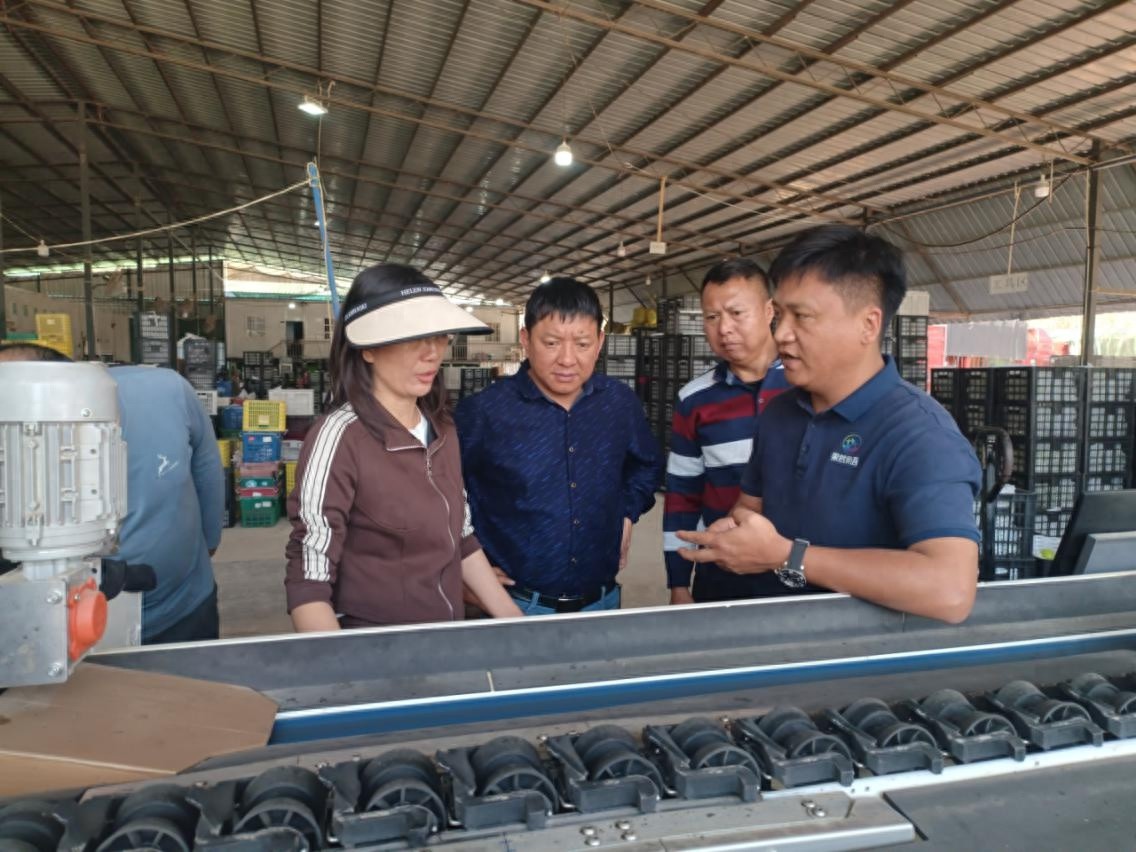 西双版纳州农业农村局全面巡查豇豆及热带水果基地，强化农产品质量安全监管