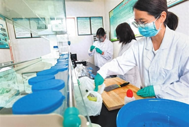 乡镇农产品质量安全汇报材料_乡镇 农产品质量安全_乡镇农产品质量安全实施方案