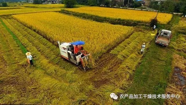 农村物流补贴_农产品物流项目补贴_农产品运输补贴