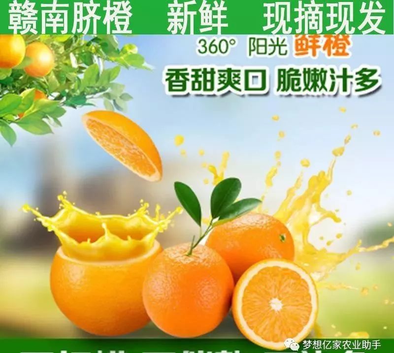 农产品营销方式有哪些_农产品营销主要内容_农产品营销