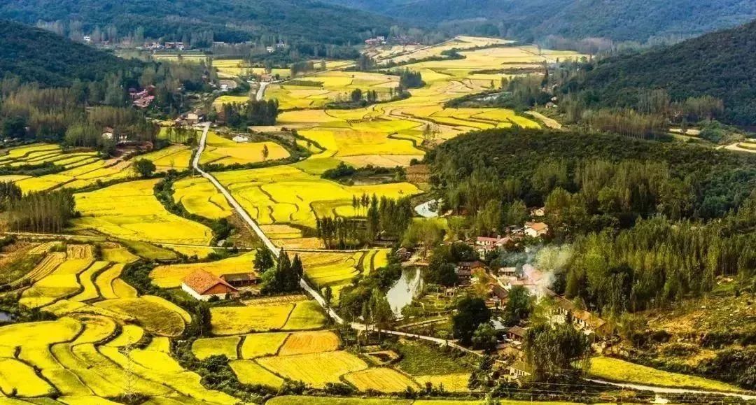 农产品发展前景_2020农业前景较大的项目_农业产品发展前景