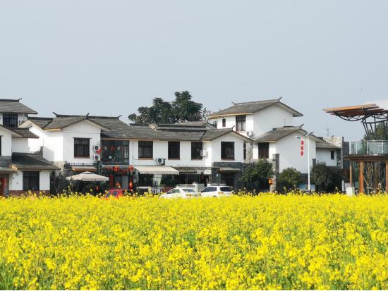 四川崇州五星村：从贫困村到幸福村的华丽蜕变，家家户户住上大别墅
