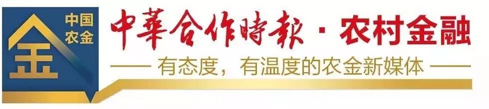 建设农村物流体系_创新金融服务农产品物流体系建设[n]_农村物流金融