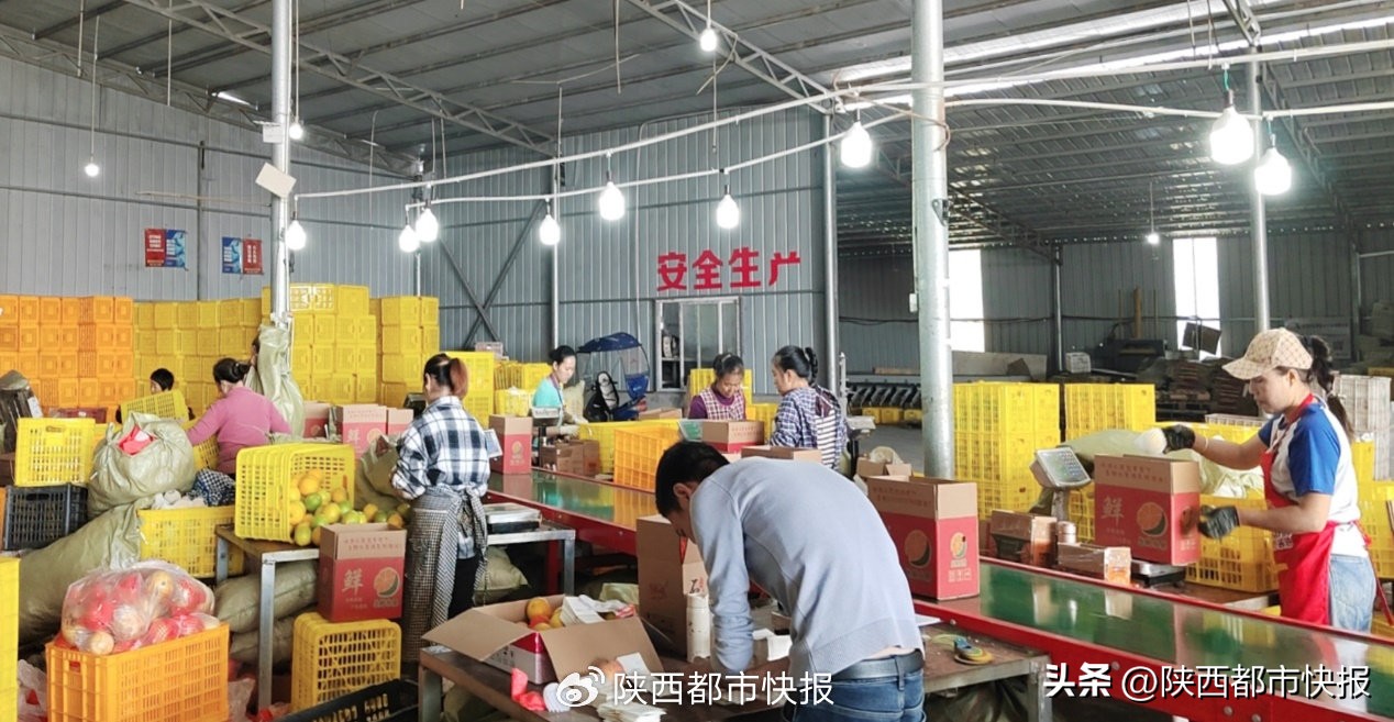 农产品物流体系_农产品物流含义_农产品物流政策