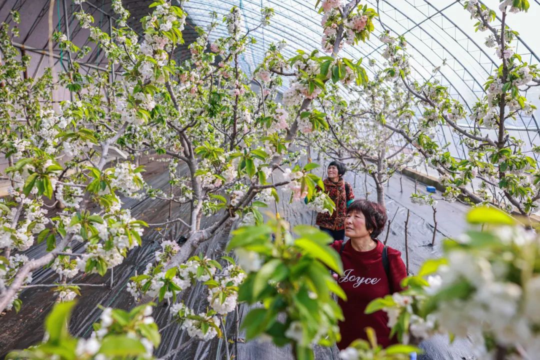 荣成农产品质量安全_农产品质量安全中心是干嘛的_农产品质量安全股