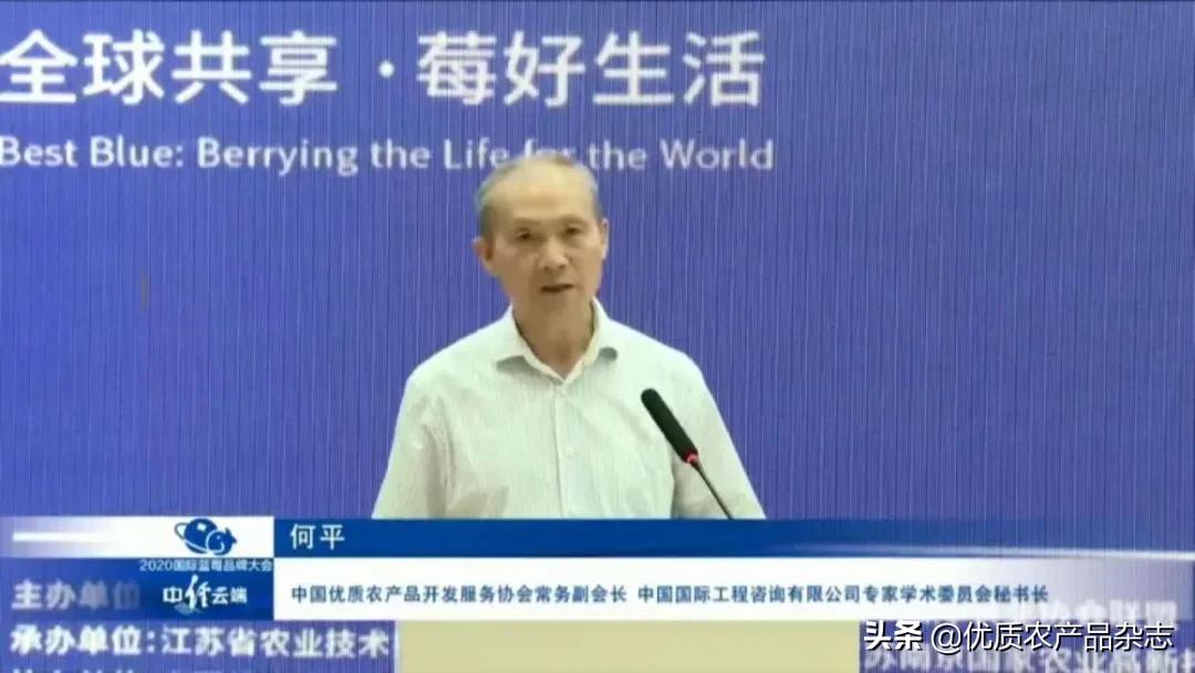 中国优质农产品开发服务协会_中国优秀农产品服务协会_中国优质农业协会官网