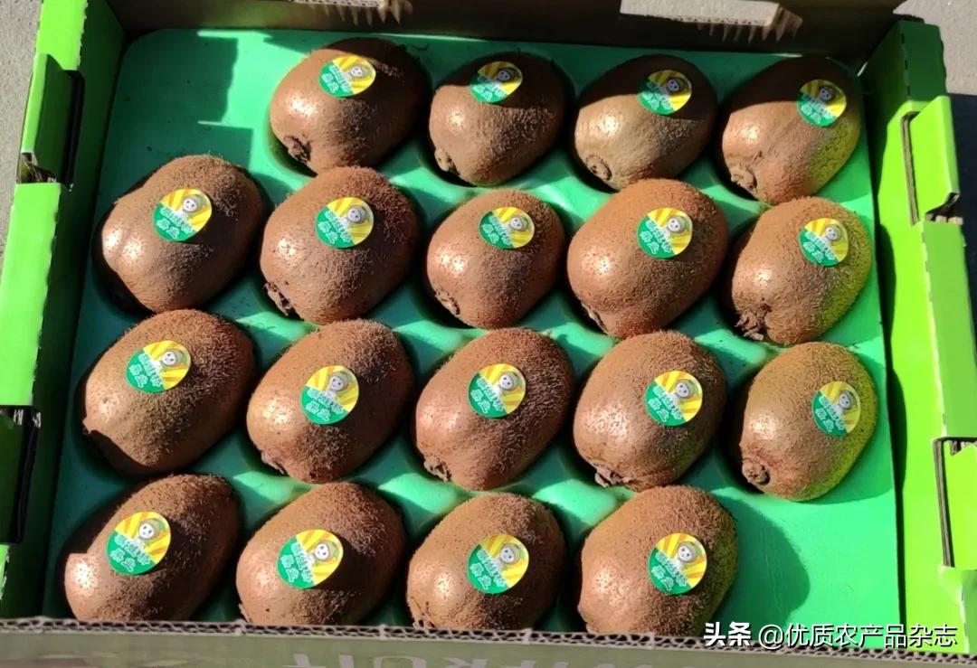 中国优质农业协会官网_中国优质农产品开发服务协会_中国优秀农产品服务协会