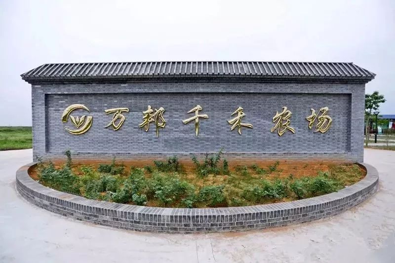 河南省农产品物流发展策略研究_河南省农产品物流发展现状_河南万邦国际农产品物流股份有限公司