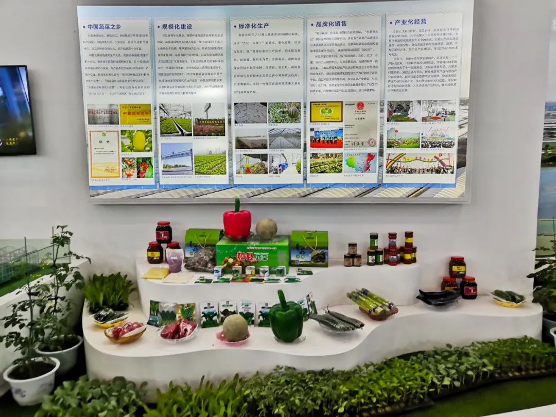 安徽 农产品电子商务_安徽电子商务进农村_安徽省农村电子商务发展现状