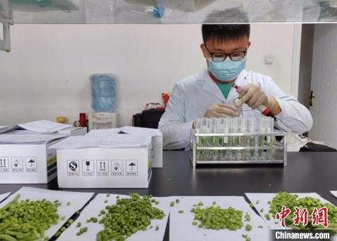 农产品交易网哪个最好_农交所交易平台_农产品交易网app哪个好