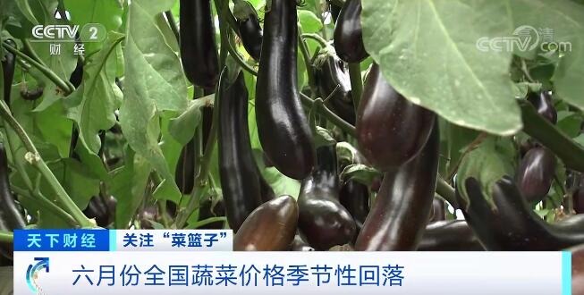 季节农性产品有哪些_季节农性产品包括哪些_农产品季节性