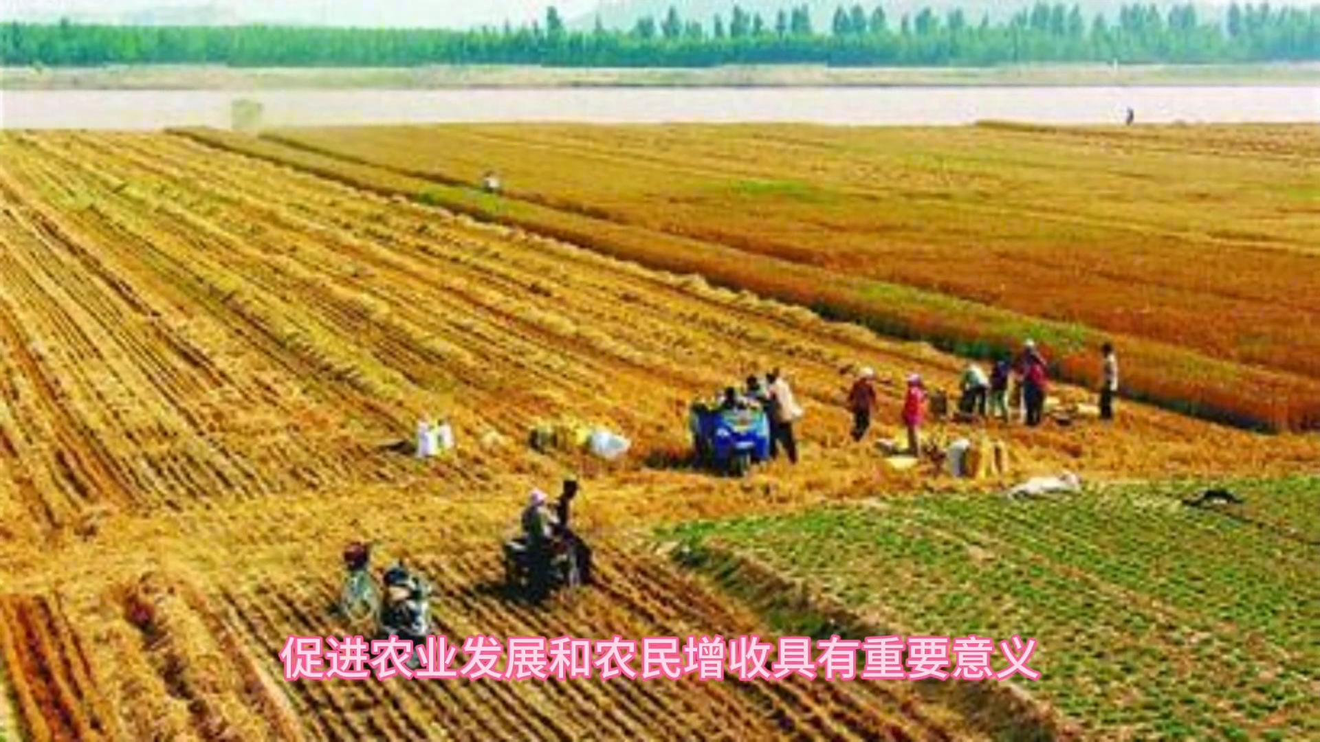 农业产品附加值_农产品附加值_附加农值产品是什么