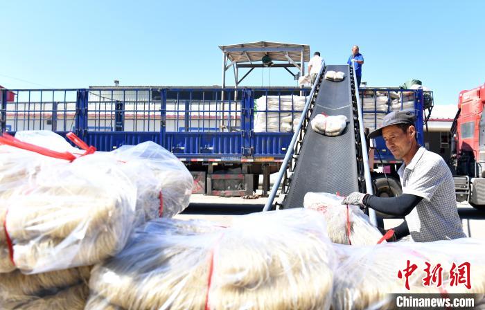 河北省农产品出口市场_河北省农产品出口结构_关于河北省农产品进出口额情况