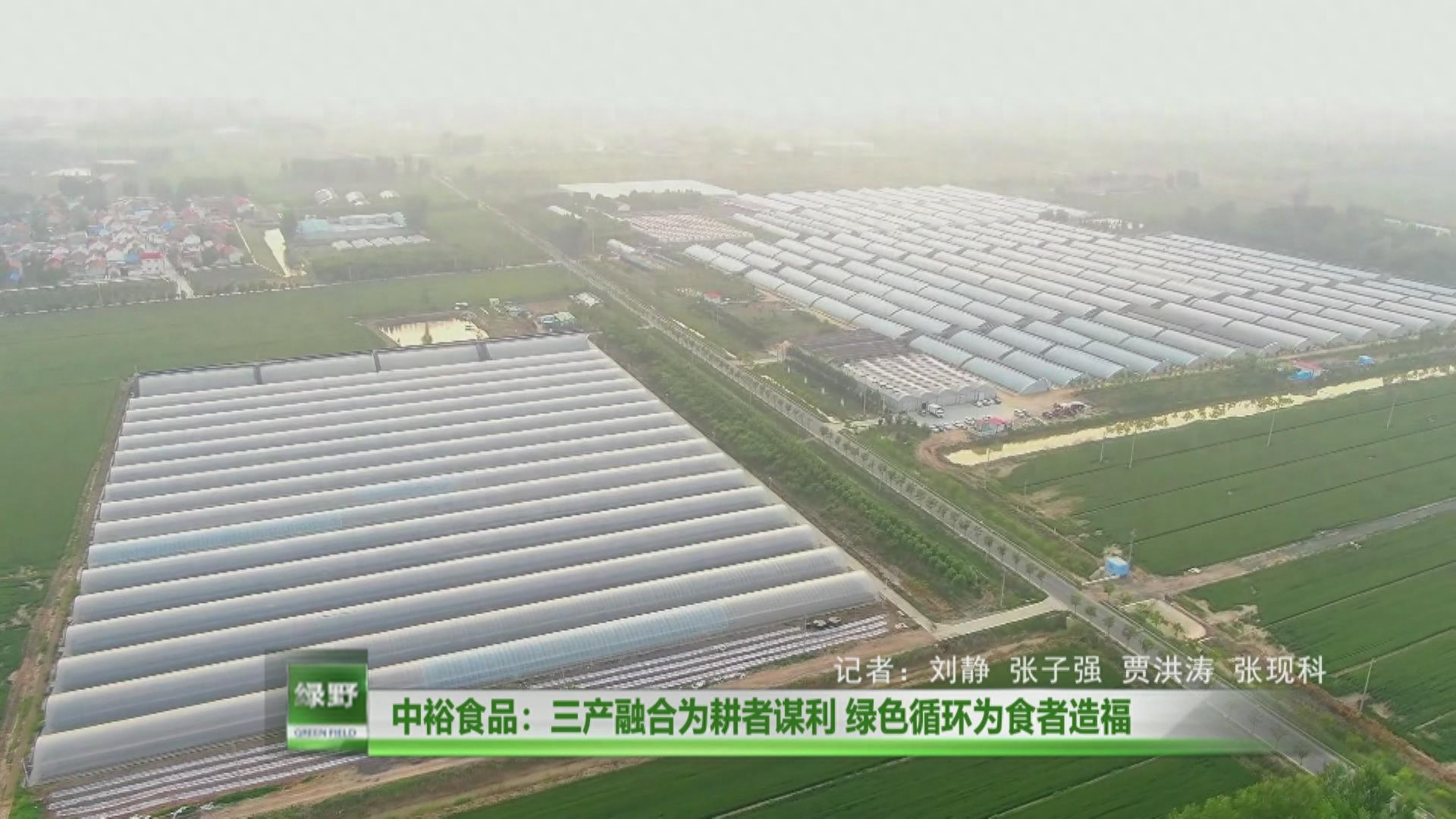 种植收购协议书范本_农业种植订单回收合同_农产品种植收购合同