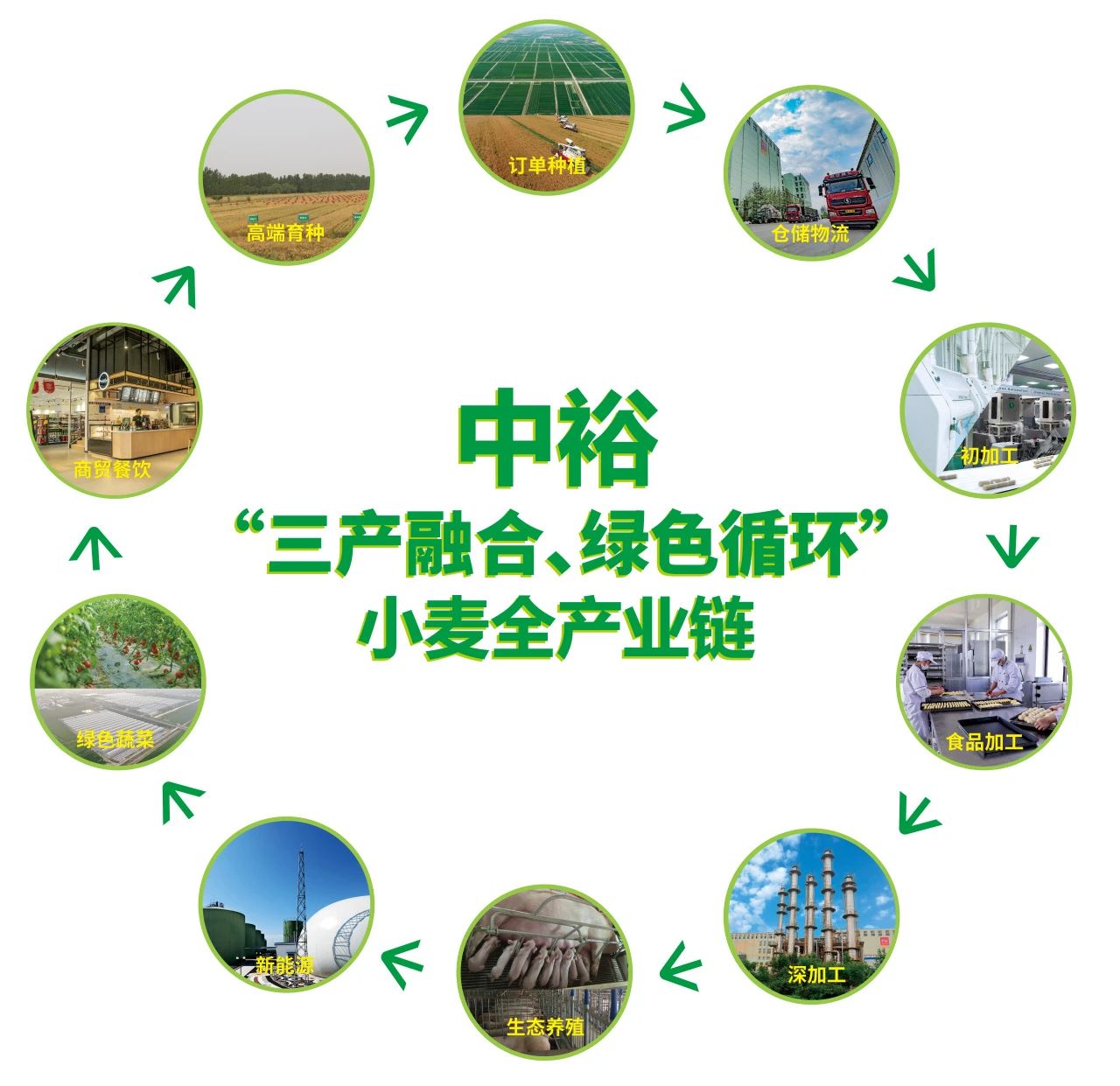 农产品种植收购合同_农业种植订单回收合同_种植收购协议书范本