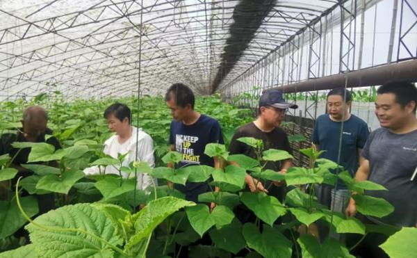 河北省农产品出口贸易现状_河北省农产品出口贸易额_河北省农产品出口市场