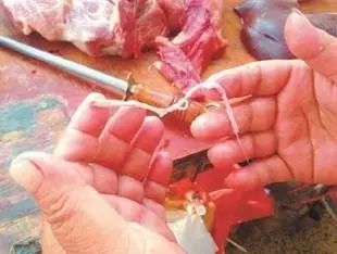 农产品质量安全是_农产品质量安全项目_农产品安全质量