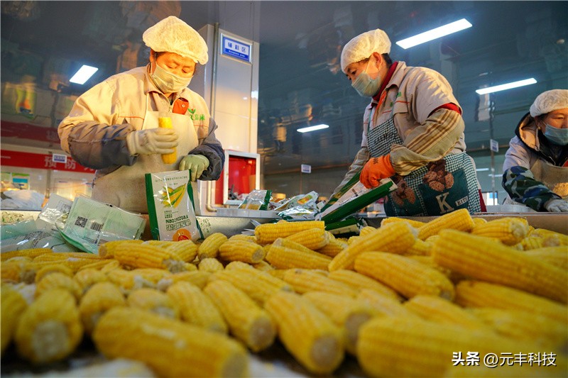 农产品加工税率2020_农产品初加工税率_农产品初加工行业税率