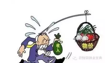 美国人薪酬高物价低？揭秘中美物价差异与生活成本对比