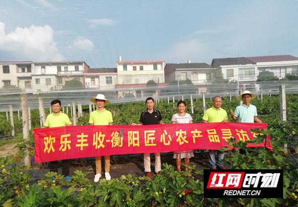 衡阳中国农民丰收节系列活动启动：欢乐丰收与匠心农产品寻访行