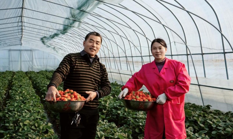 农产品流通加工设备_农产品流通加工的作用_农产品流通加工