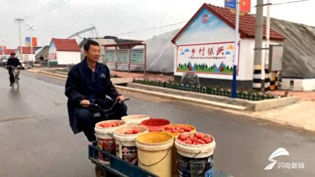 金口碑农产品_口碑商家如何上架产品_口碑农金产品是什么