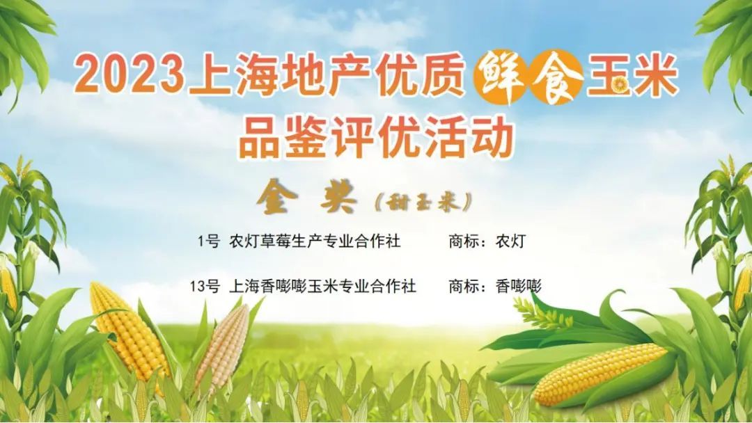 西郊农产品交易中心_西郊国际农产品展销中心_上海西郊国际农产品展示直销中心