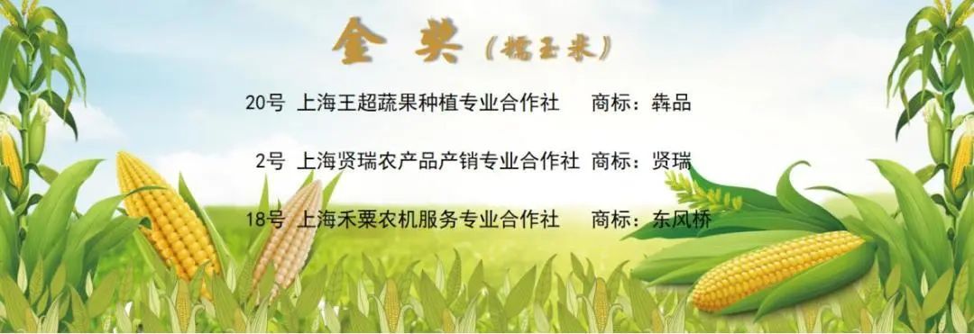西郊农产品交易中心_上海西郊国际农产品展示直销中心_西郊国际农产品展销中心