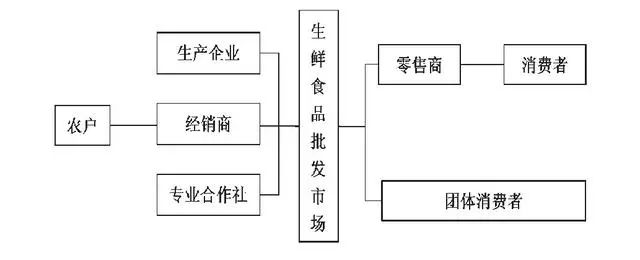 农产品电商平台建设方案_新农村电商的建设方式_农产品电商建设方案