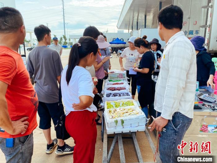 海南农网信息产品有哪些_海南农业网_海南农产品信息网
