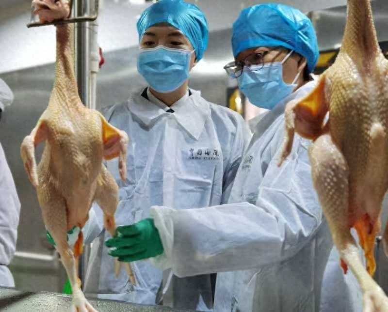 佛山海关助力冰鲜禽肉高效出口香港，海达养殖基地实现当天屠宰当天到港