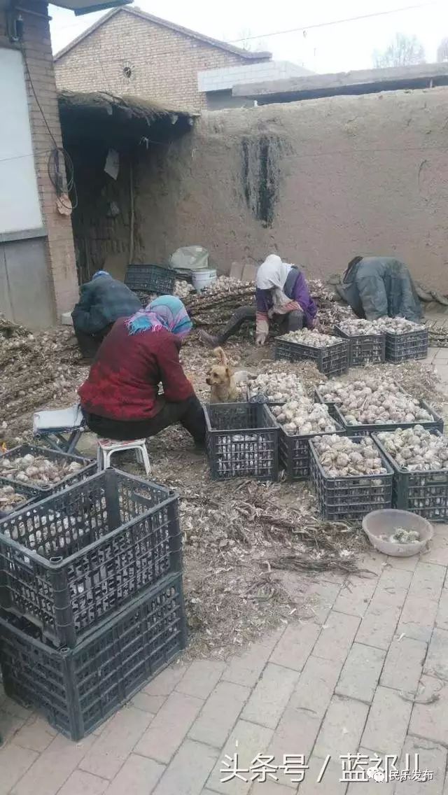 在淘宝卖农产品需要什么条件_在淘宝卖农产品_淘宝店卖农产品取什么名字