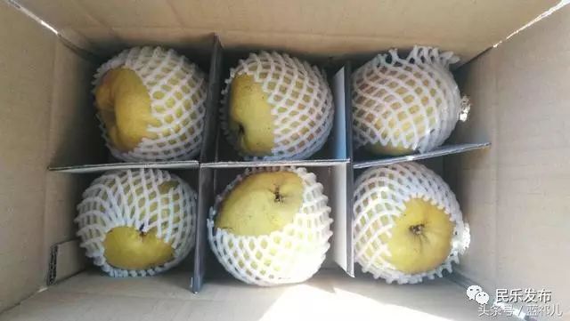 在淘宝卖农产品_在淘宝卖农产品需要什么条件_淘宝店卖农产品取什么名字