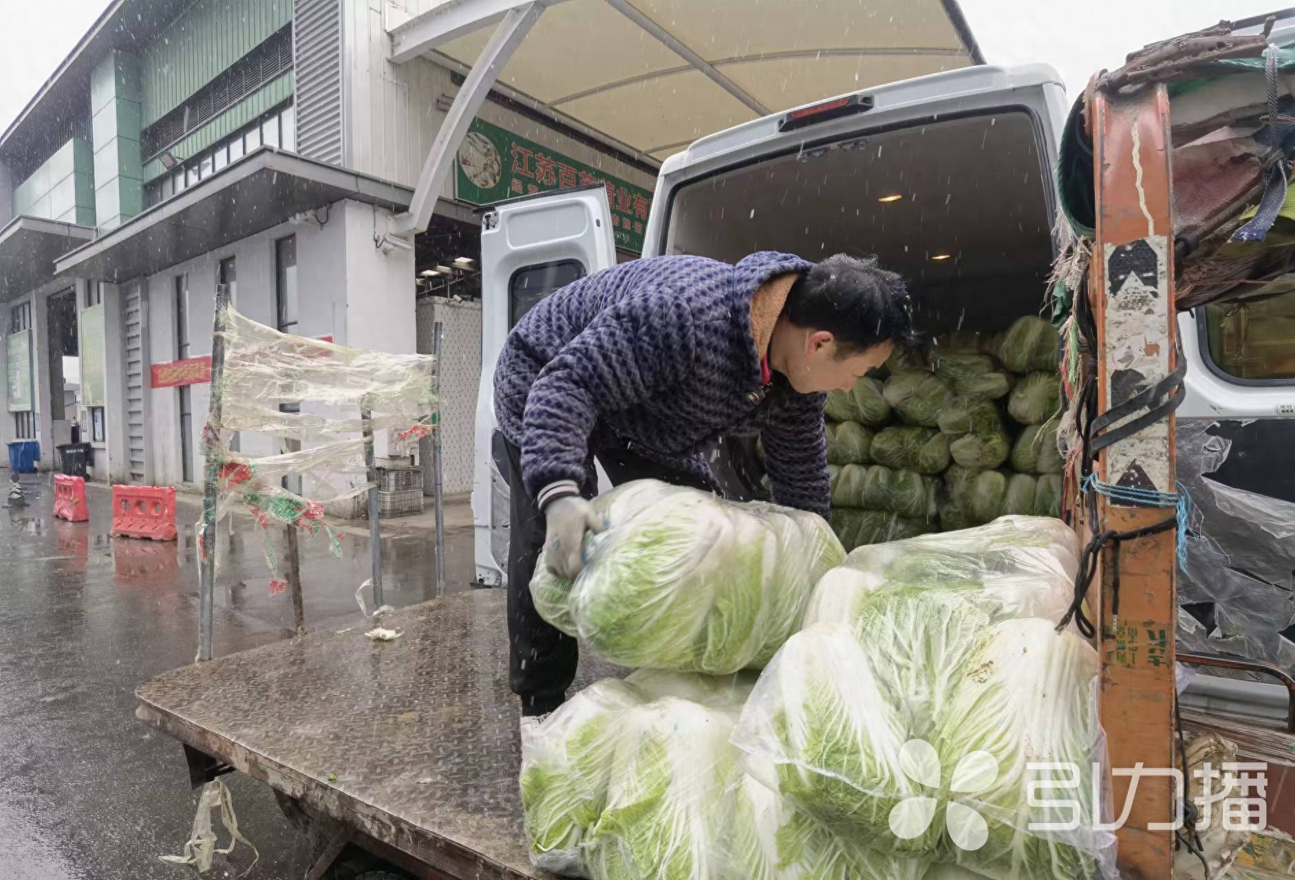 苏州南环桥市场冬季菜篮子保供工作启动，蔬菜供应充足价格稳定